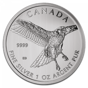 Red-Tailed Hawk 1oz Silver Coin (2015)